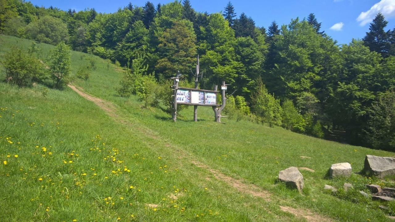 Pod Kamiennikiem Hotell Trzemesnia Exteriör bild